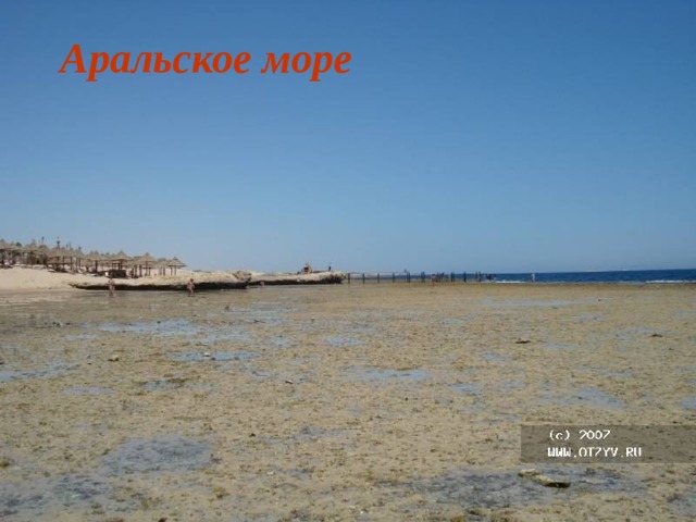 Аральское море