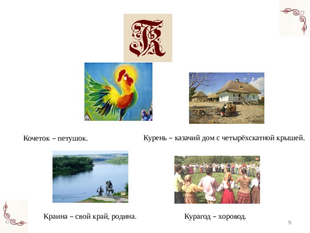 Курень – казачий дом с четырёхскатной крышей. Кочеток – петушок. Краина – свой край, родина. Курагод – хоровод.