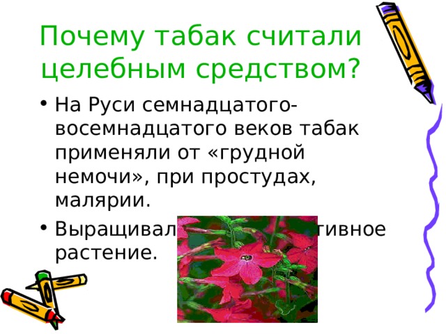 Почему табак считали целебным средством?