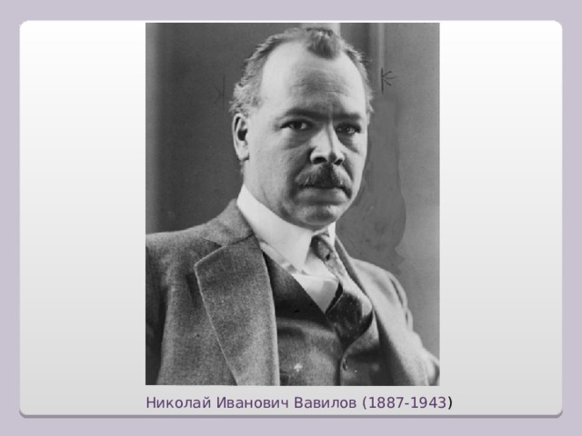Николай Иванович Вавилов (1887-1943 )