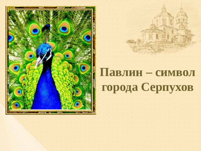 Павлин – символ города Серпухов