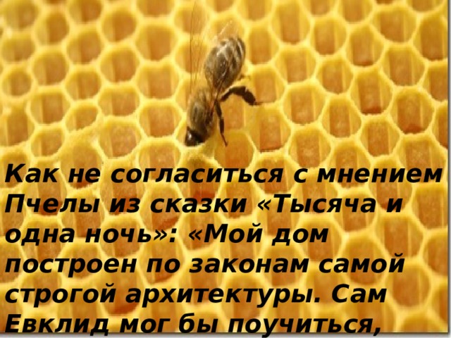 Как не согласиться с мнением Пчелы из сказки «Тысяча и одна ночь»: «Мой дом построен по законам самой строгой архитектуры. Сам Евклид мог бы поучиться, познавая геометрию моих сот».