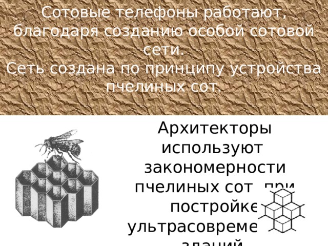 Сотовые телефоны работают, благодаря созданию особой сотовой сети.  Сеть создана по принципу устройства пчелиных сот.    Архитекторы используют закономерности пчелиных сот при постройке ультрасовременных зданий.