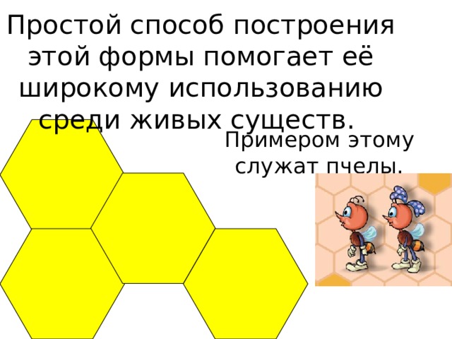 Простой способ построения этой формы помогает её широкому использованию среди живых существ. Примером этому служат пчелы.