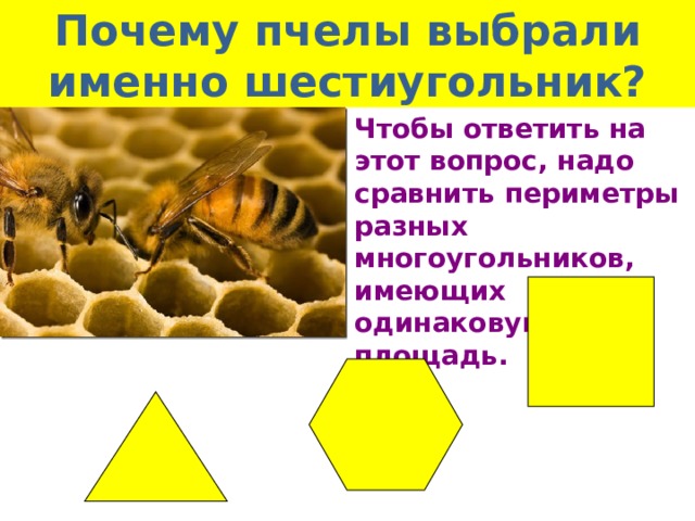 Почему пчелы выбрали именно шестиугольник? Чтобы ответить на этот вопрос, надо сравнить периметры разных многоугольников, имеющих одинаковую площадь.