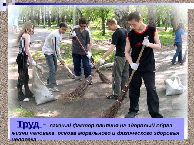 Труд - важный фактор влияния на здоровый образ жизни  человека , основа морального и физического здоровья человека