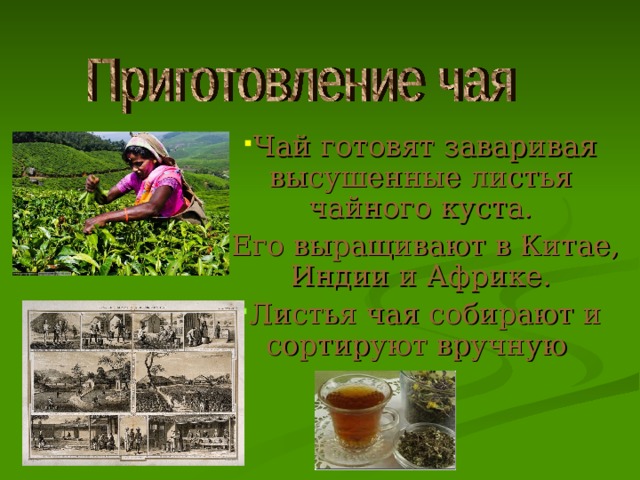 Чай готовят заваривая высушенные листья чайного куста. Его выращивают в Китае, Индии и Африке. Листья чая собирают и сортируют вручную