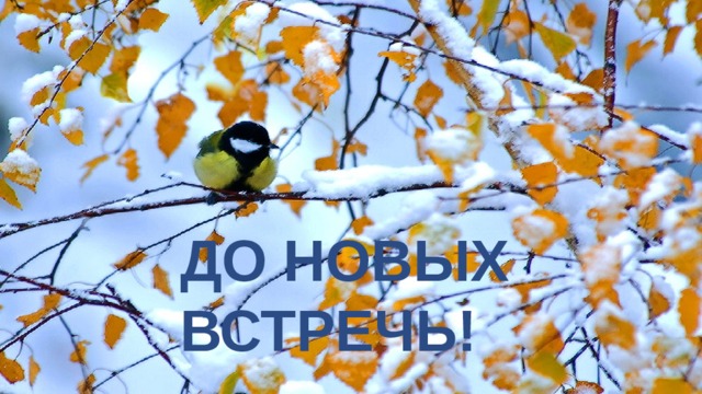 ДО НОВЫХ ВСТРЕЧЬ!