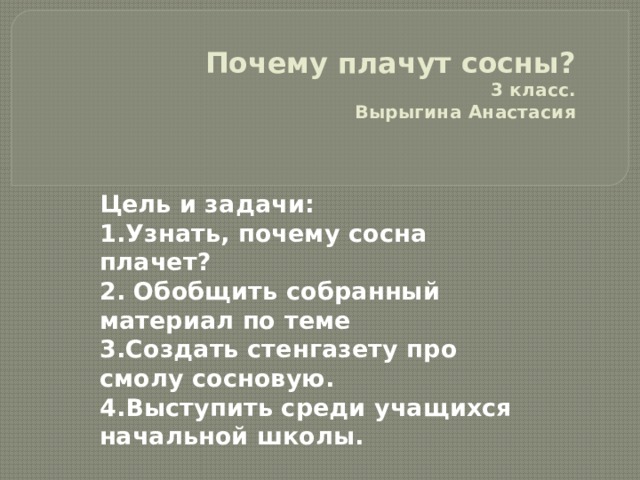 Почему плачут сосны?  3 класс.  Вырыгина Анастасия Цель и задачи: 1.Узнать, почему сосна плачет? 2. Обобщить собранный материал по теме 3.Создать стенгазету про смолу сосновую. 4.Выступить среди учащихся начальной школы.