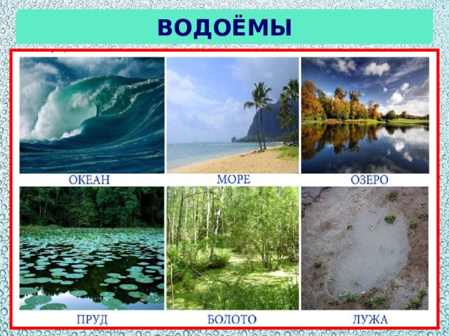 водоёмы