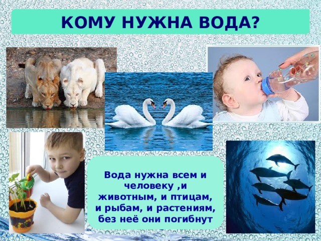 Кому нужна вода? Вода нужна всем и человеку ,и животным, и птицам, и рыбам, и растениям, без неё они погибнут