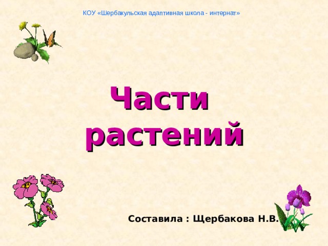 КОУ «Шербакульская адаптивная школа - интернат» Части  растений   Составила : Щербакова Н.В.