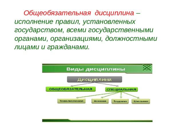 Общеобязательная дисциплина – исполнение правил, установленных государством, всеми государственными органами, организациями, должностными лицами и гражданами.