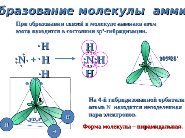 : : : : Образование молекулы  аммиака При образовании связей в молекуле аммиака атом азота находится в состоянии sp 3 - гибридизации.  Н Н Н   : N +   H : N :Н  109 0 28 ’  Н Н  Н  На 4-й гибридизованной орбитали атома N находится неподеленная пара электронов. Н 107,3 0 Н Форма молекулы – пирамидальная. Н