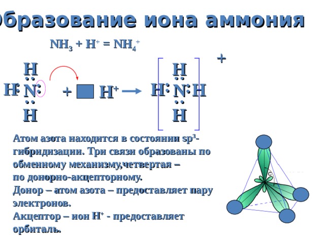 : : : : : : : : : : : : Образование иона аммония NH 3 + H + = NH 4 + + Н Н Н Н Н N N N N + H +  Н Н Н Н Атом азота находится в состоянии sp 3 - гибридизации. Три связи образованы по обменному механизму,четвертая – по донорно-акцепторному. Донор – атом азота – предоставляет пару электронов. Акцептор – ион Н + - предоставляет орбиталь.