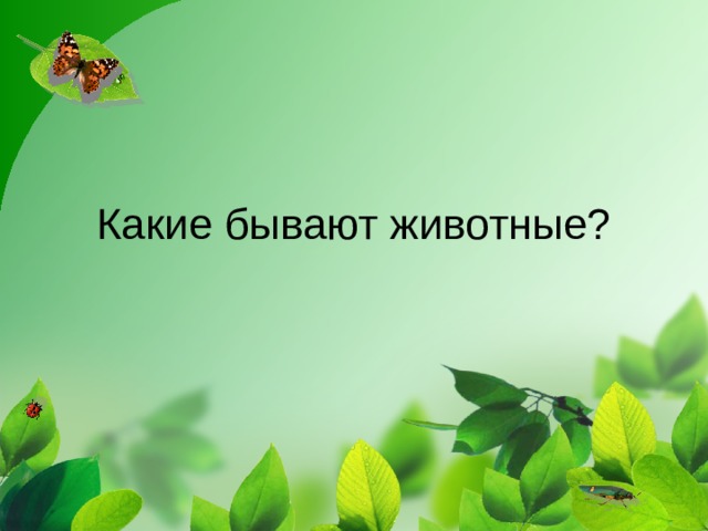 Какие бывают животные?