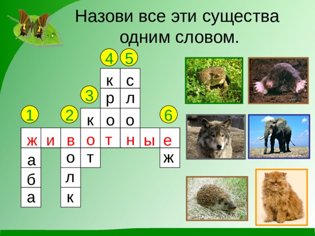 Назови все эти существа  одним словом. 5 4 к с р л 3 6 2 1 о о к в о т н е и ж е н в ж ы т о т о ж а л б к а