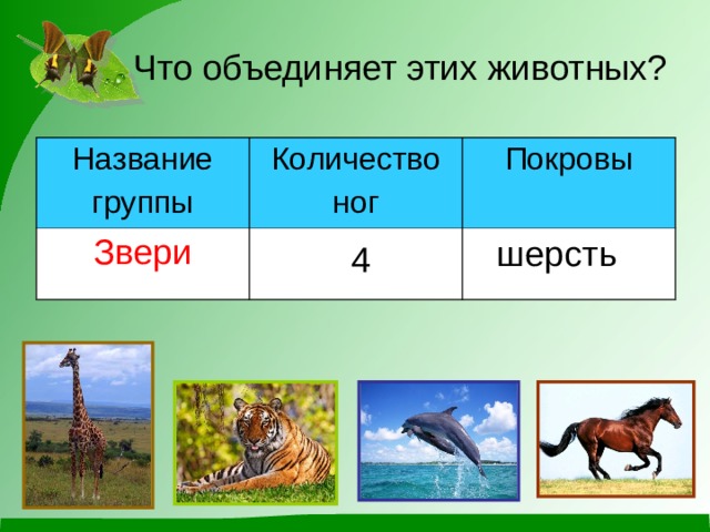 Какие списки изображены на картинке млекопитающие в природе