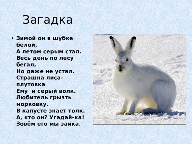 Загадка