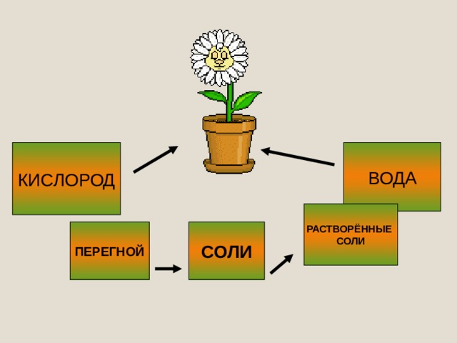 КИСЛОРОД ВОДА РАСТВОРЁННЫЕ СОЛИ ПЕРЕГНОЙ СОЛИ