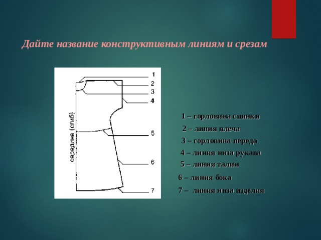 Изделие 6 класс технология. Конструктивные линии в рукаве. Конструктивные линии плечевого изделия. Линия низа рукава. Линия талии линия низа изделия.