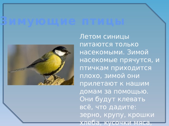 Зимующие птицы Летом синицы питаются только насекомыми. Зимой насекомые прячутся, и птичкам приходится плохо, зимой они прилетают к нашим домам за помощью. Они будут клевать всё, что дадите: зерно, крупу, крошки хлеба, кусочки мяса, несолёного сала.