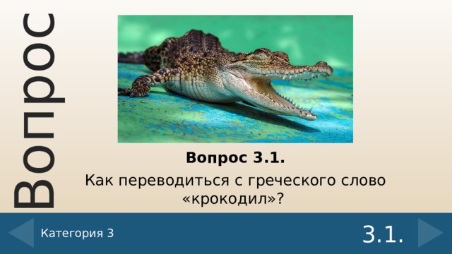 Вопрос 3.1. Как переводиться с греческого слово «крокодил»? Категория 3 3.1.