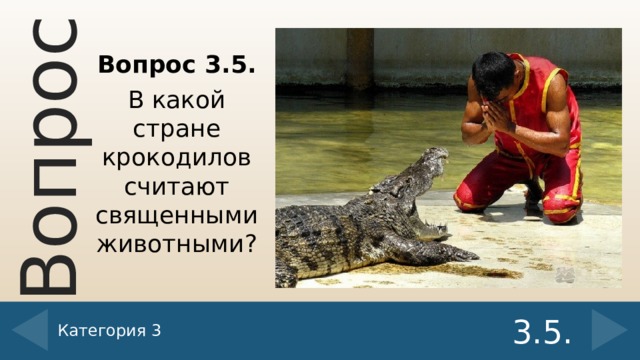 Вопрос 3.5. В какой стране крокодилов считают священными животными? Категория 3 3.5.