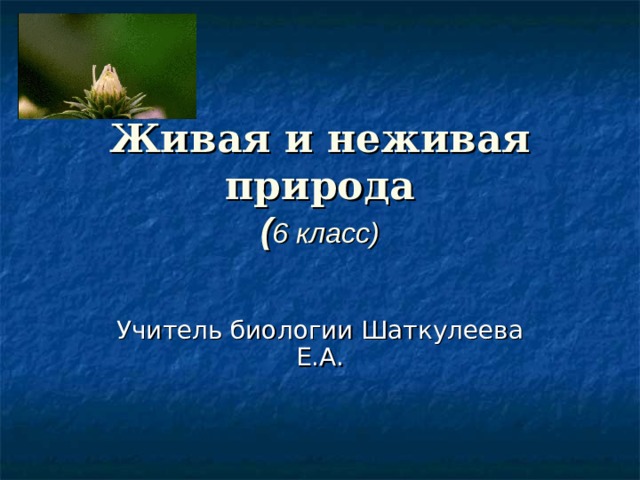 Живая и неживая природа  ( 6 класс) Учитель биологии Шаткулеева Е.А.