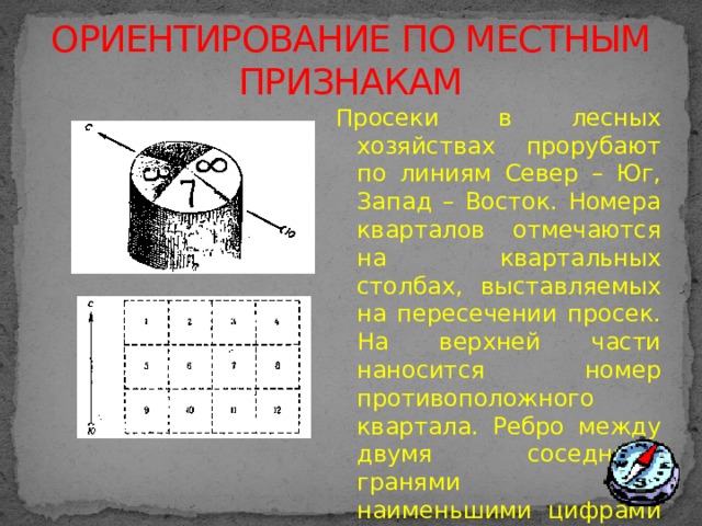 ОРИЕНТИРОВАНИЕ ПО МЕСТНЫМ ПРИЗНАКАМ Просеки в лесных хозяйствах прорубают по линиям Север – Юг, Запад – Восток. Номера кварталов отмечаются на квартальных столбах, выставляемых на пересечении просек. На верхней части наносится номер противоположного квартала. Ребро между двумя соседними гранями с наименьшими цифрами укажет направление на Север.