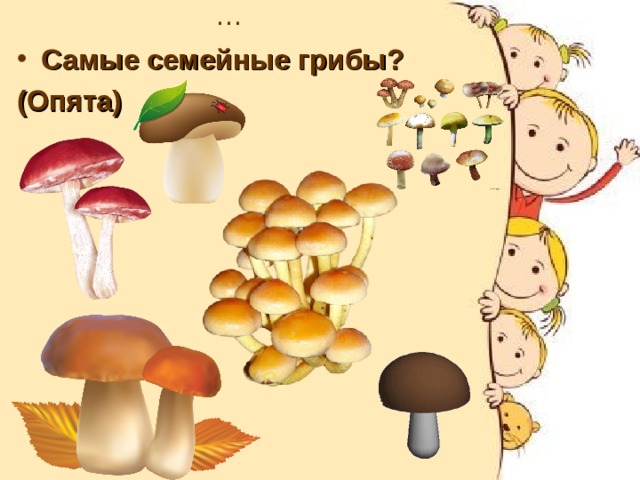 … Самые семейные грибы? (Опята)