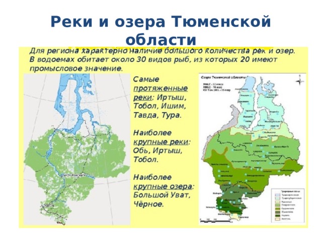 Реки и озера Тюменской области