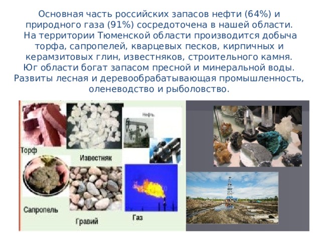 Основная часть российских запасов нефти (64%) и природного газа (91%) сосредоточена в нашей области.  На территории Тюменской области производится добыча торфа, сапропелей, кварцевых песков, кирпичных и керамзитовых глин, известняков, строительного камня.  Юг области богат запасом пресной и минеральной воды.  Развиты лесная и деревообрабатывающая промышленность, оленеводство и рыболовство.