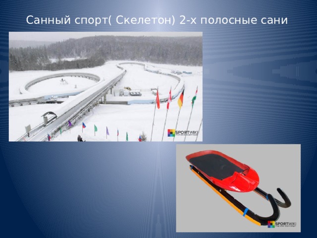 Санный спорт( Скелетон) 2-х полосные сани