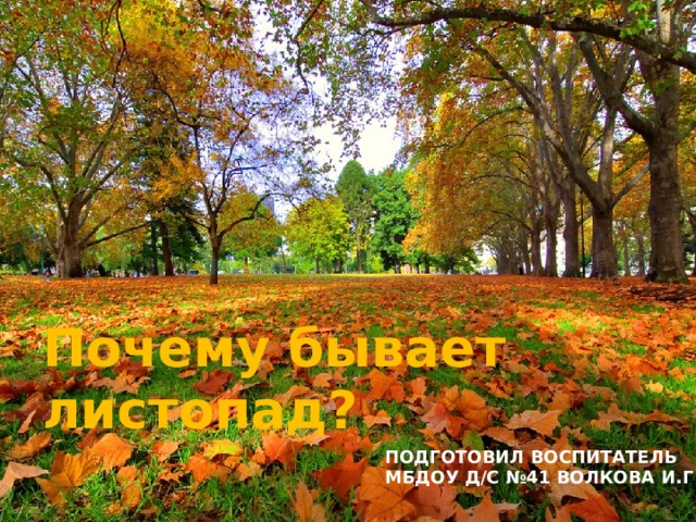 Почему бывает листопад? ПОДГОТОВИЛ ВОСПИТАТЕЛЬ МБДОУ Д/С №41 ВОЛКОВА И.Г