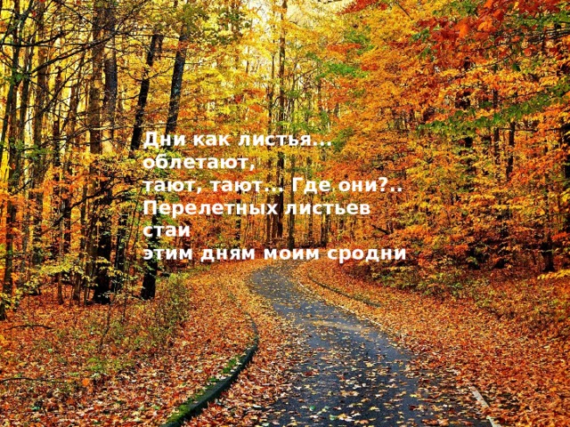 Дни как листья... облетают,  тают, тают... Где они?..  Перелетных листьев стаи  этим дням моим сродни .