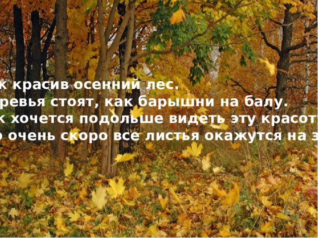 Как красив осенний лес. Деревья стоят, как барышни на балу. Так хочется подольше видеть эту красоту.  Но очень скоро все листья окажутся на земле .