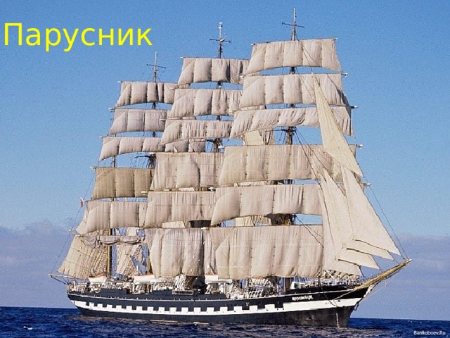 Парусник