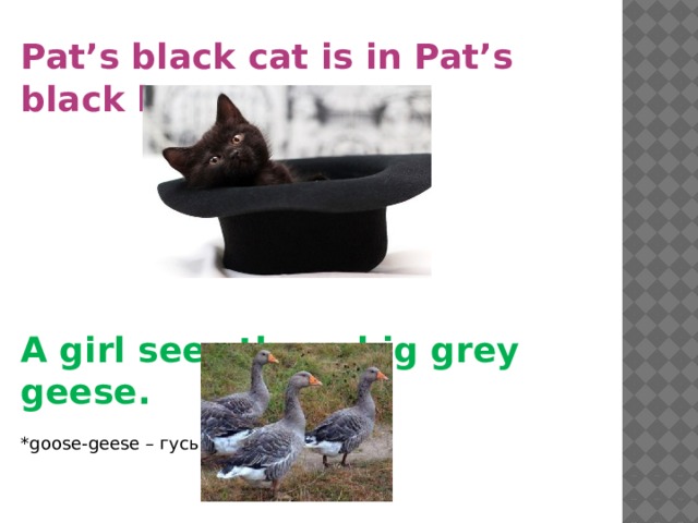 Pat’s black cat is in Pat’s black hat.  A girl sees three big grey geese. *goose-geese – гусь