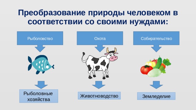 Преобразование природы человеком в соответствии со своими нуждами: Рыболовство Охота Собирательство Рыболовные хозяйства Животноводство Земледелие