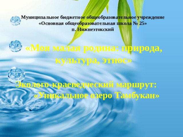 Муниципальное бюджетное общеобразовательное учреждение  «Основная общеобразовательная школа № 25»  п. Нижнеэтокский   «Моя малая родина: природа, культура, этнос»  Эколого-краеведческий маршрут:  «Уникальное озеро Тамбукан»