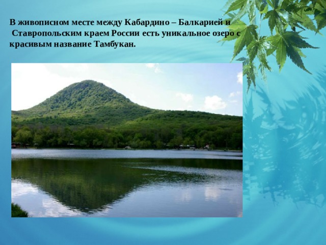 В живописном месте между Кабардино – Балкарией и  Ставропольским краем России есть уникальное озеро с красивым название Тамбукан.