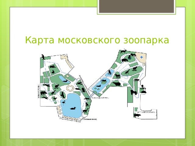Карта московского зоопарка