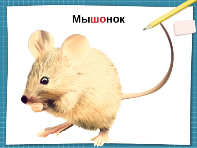 Мы шо нок