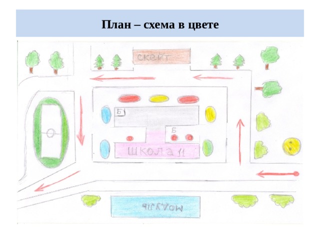 План – схема в цвете