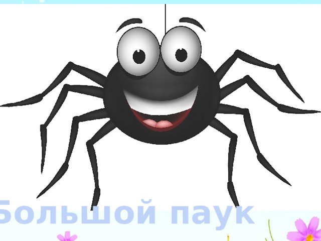 Большой паук