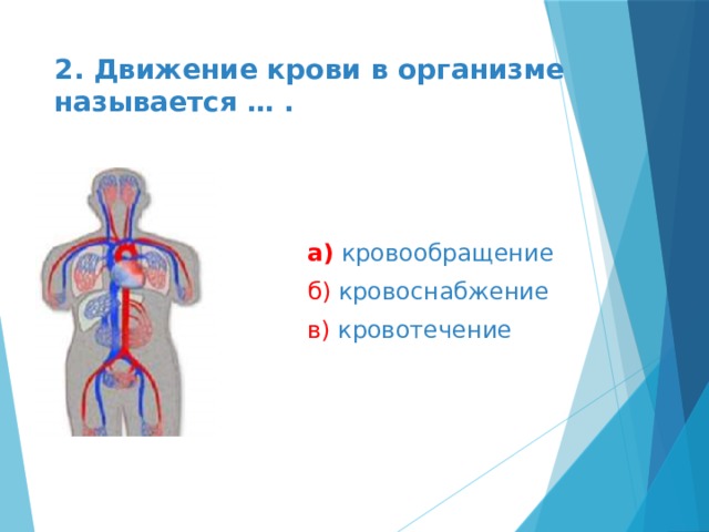 2. Движение крови в организме называется … .   а)  кровообращение б) кровоснабжение в) кровотечение