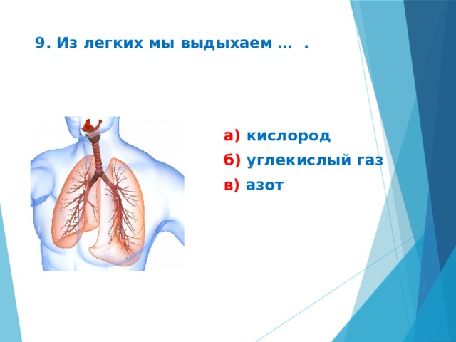 9. Из легких мы выдыхаем … . а) кислород б) углекислый газ в) азот