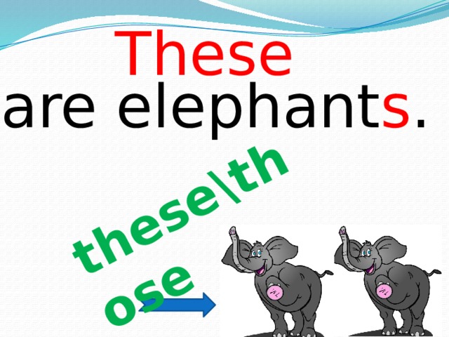 these\those These are elephant s .