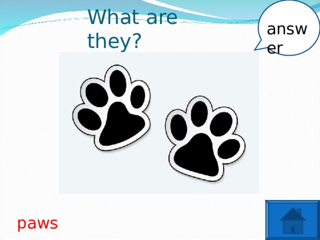 answer What are they? paws